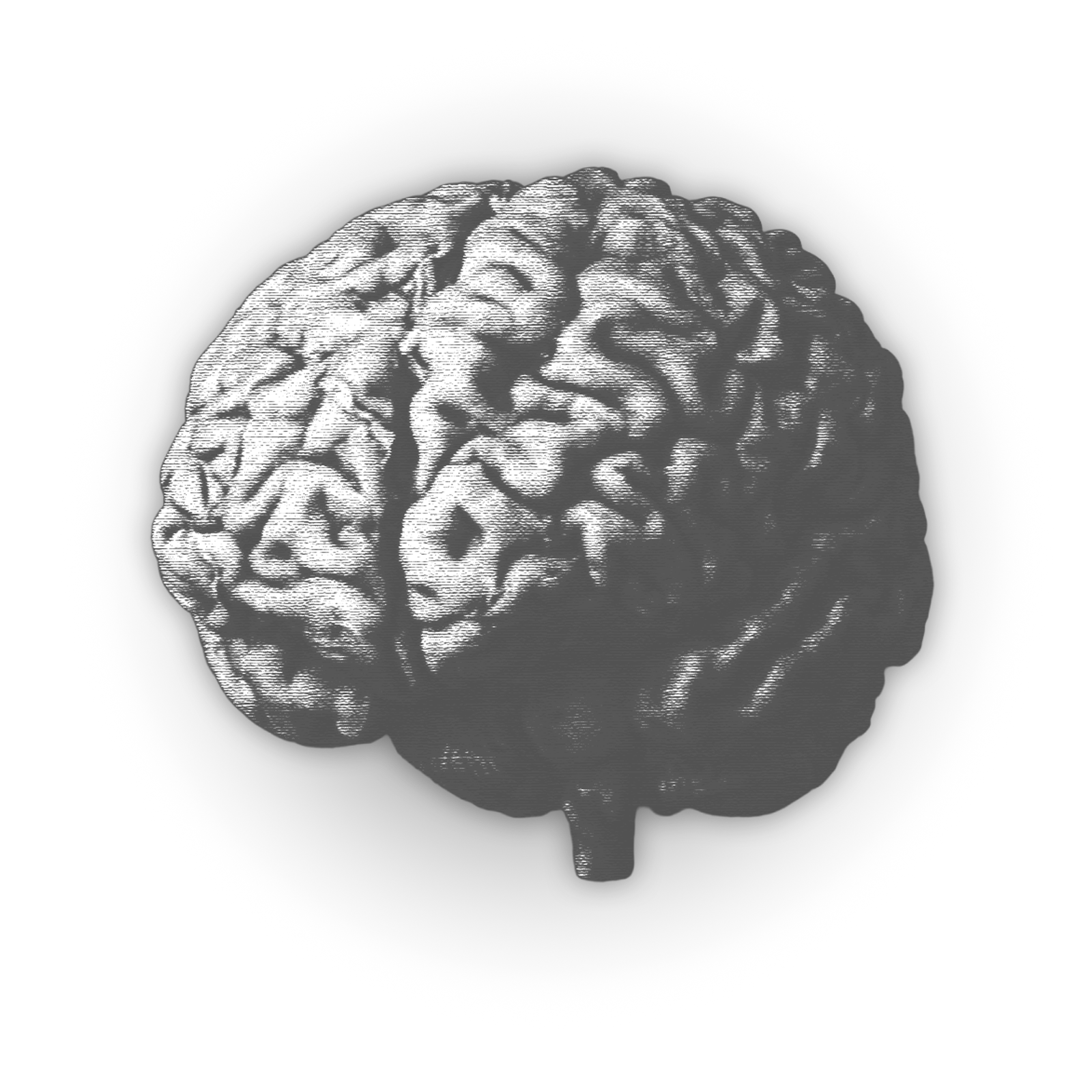 3D Brain illustration